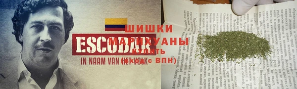 spice Алзамай