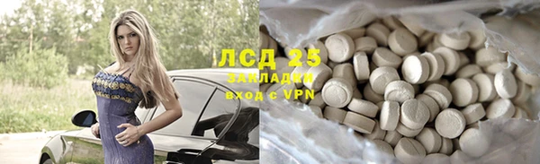 хмурый Алексин