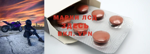 PSILOCYBIN Ельня