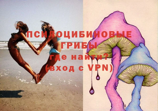 ALPHA-PVP Алексеевка