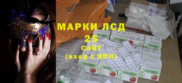хмурый Алексин