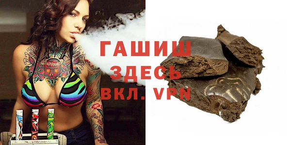 хмурый Алексин