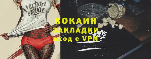хмурый Алексин