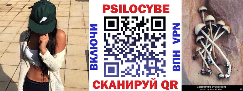 Псилоцибиновые грибы Magic Shrooms  наркошоп  Ясный 